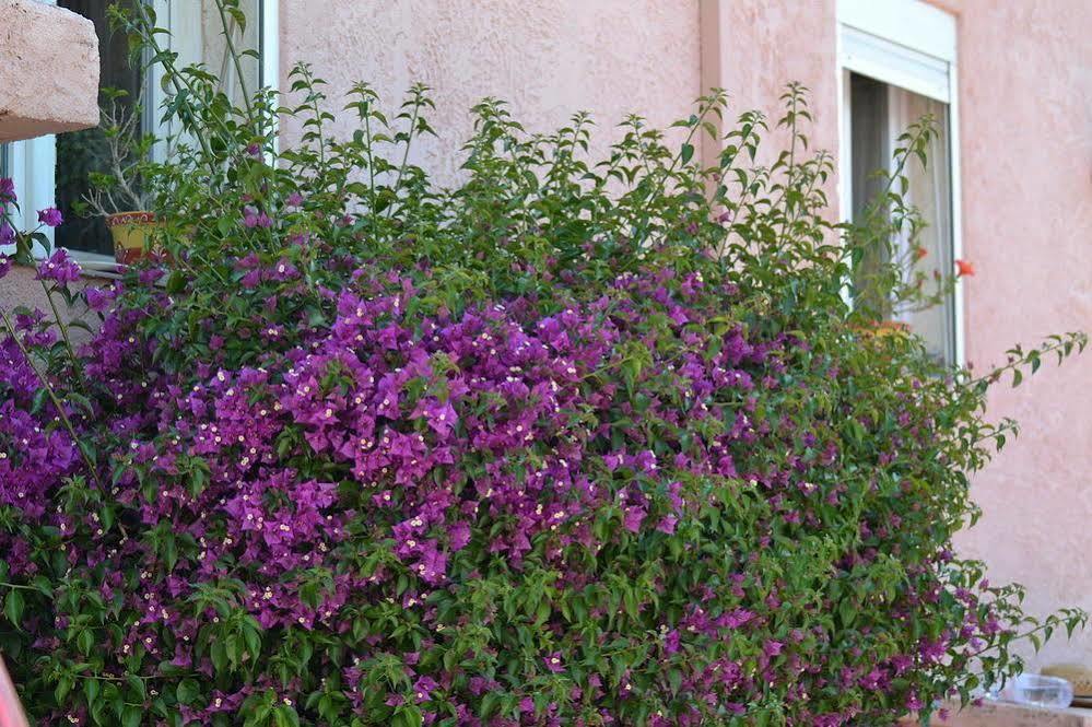 Hotel Princesse D'azur 2*